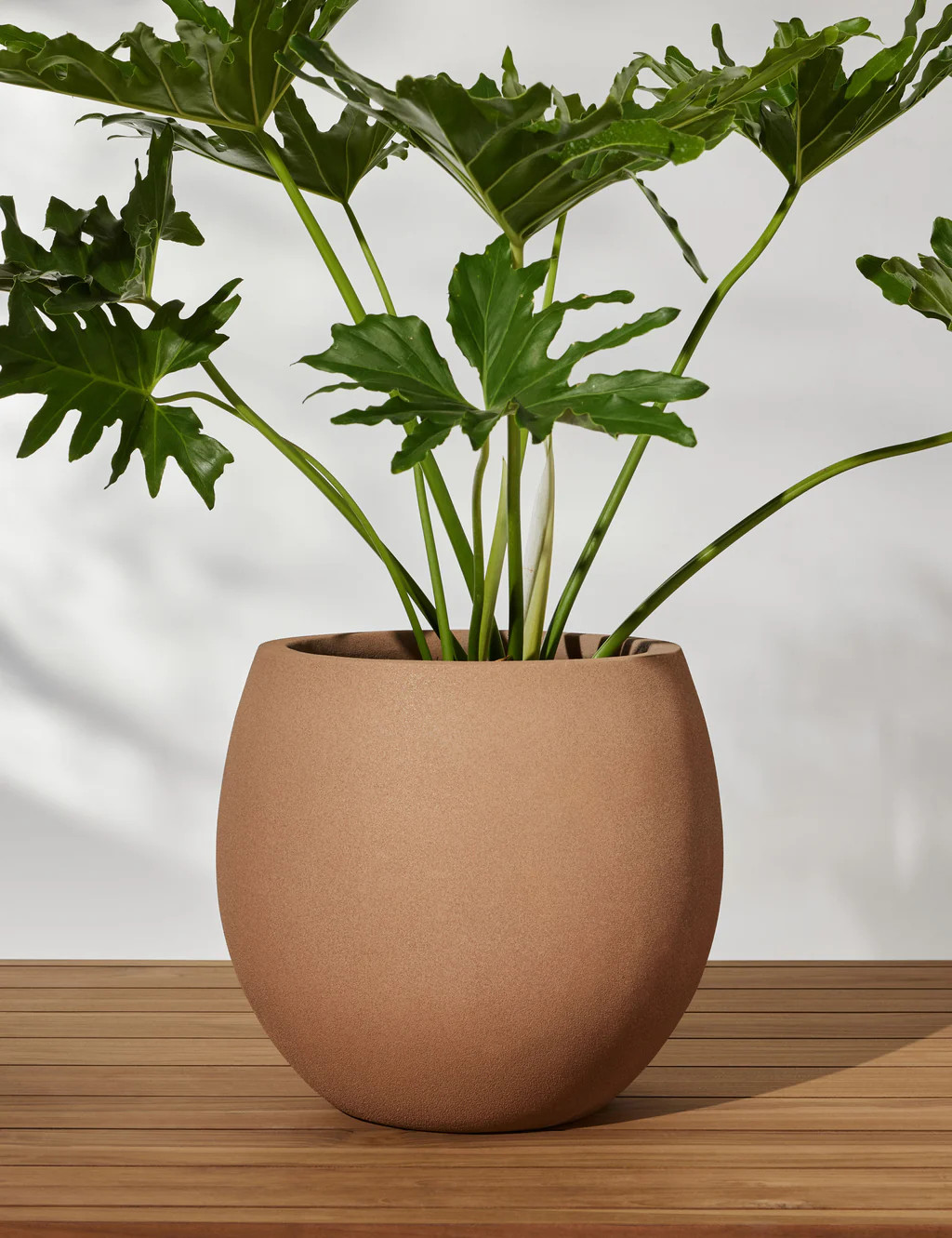 Kenna Planter | Lulu and Georgia 