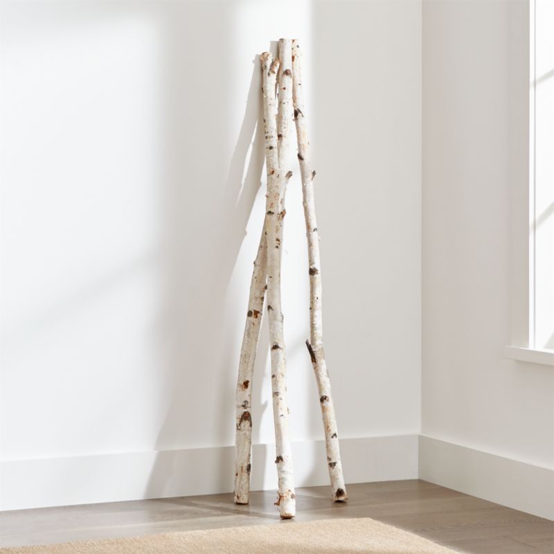 Tall Birch Branches, Set of 3 + Reviews | Crate and Barrel | Crate & Barrel