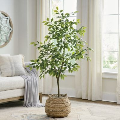 Eco Convert Ficus Tree | Grandin Road | Grandin Road