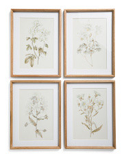 NAPA HOME AND GARDEN | Marshalls