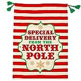 C.R. Gibson Festive Special Delivery Santa Sack, 28 x 20-Inches | Amazon (US)