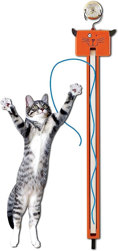 Moody Pet Fling-AMA-String Cat Toy | Amazon (US)