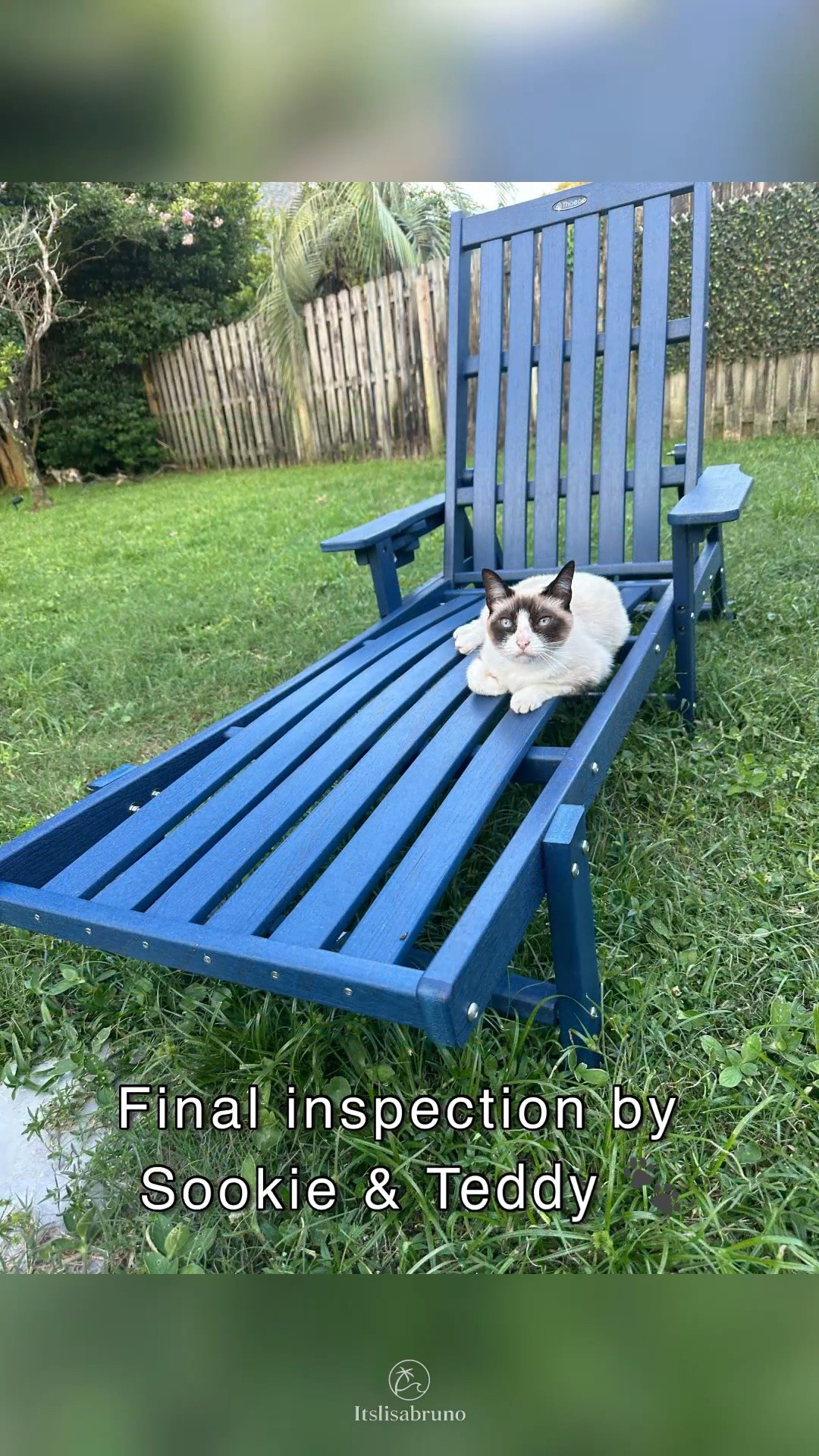 Patio upgrade complete 💙☀️

These reclining chaise lounge chairs from @Wayfair arrived in boxes, and I put both together myself (slowly… because Florida summer heat is no joke 🥵😂).

Loving the pop of blue and the little details — adjustable reclining, wheels for easy moving, and a cup holder for relaxing days outside.

Of course Sookie & Teddy had to do the final inspection 🐾🤍

Linked my chairs here 🌴

#Ad #OutdoorLiving #PatioDecor #PatioFurniture #BackyardMakeover #OutdoorSpaces #HomeFinds #WayfairFinds

#LTKdayinmylife #LTKHome #LTKSeasonal