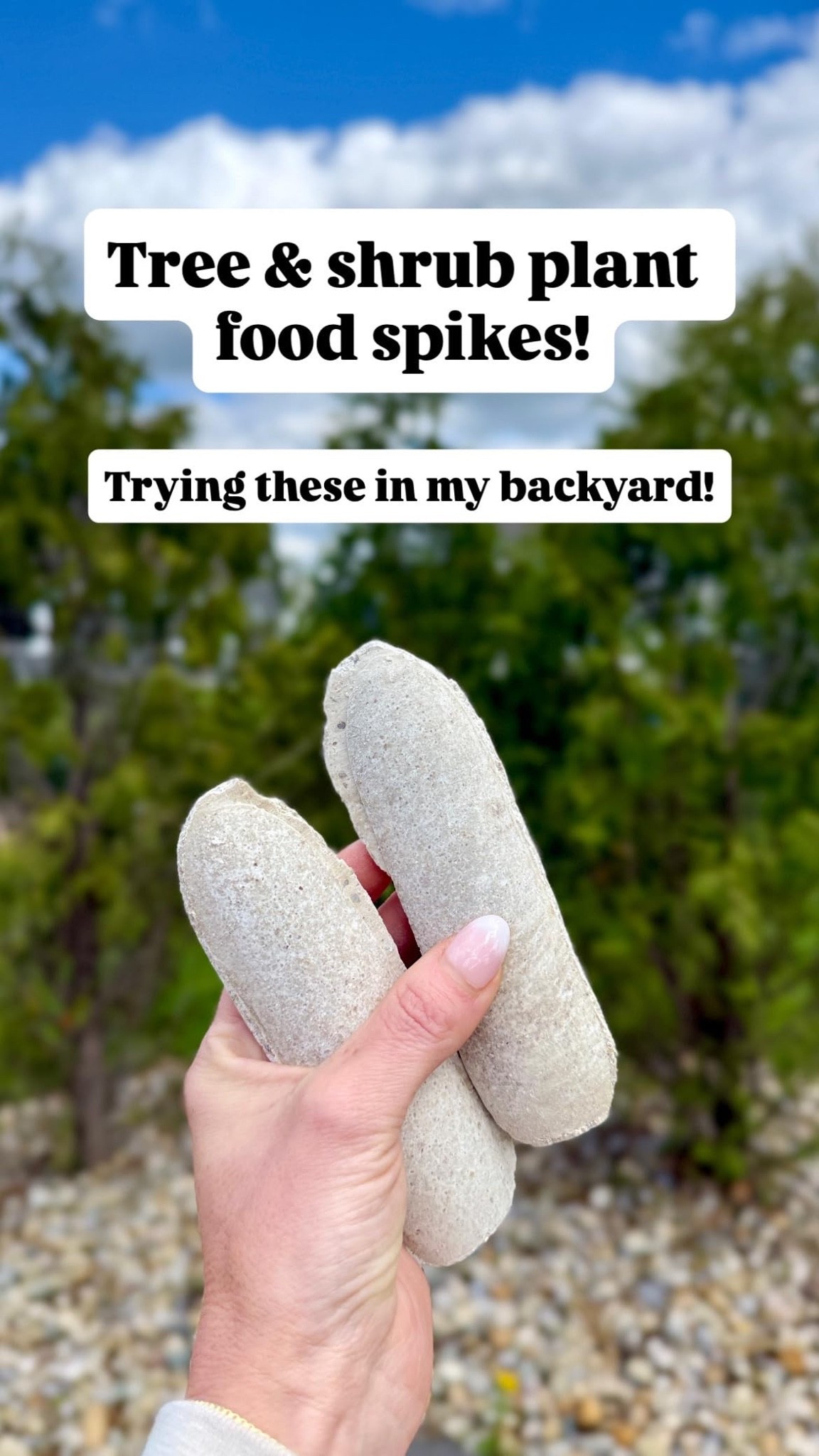 Just added these tree and shrub food spikes to my backyard. Can't wait to see the results! #gardening #plantcare

#LTKSeasonal #LTKHome