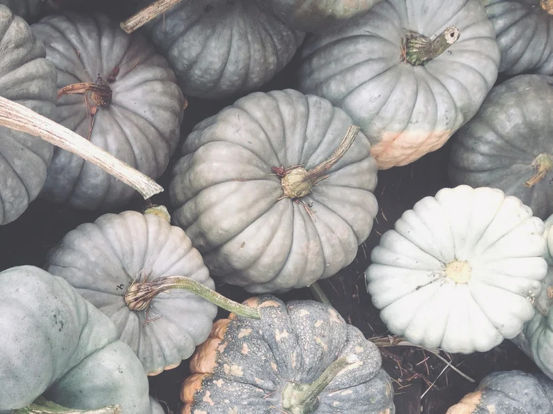 Frame TV Art File Frame TV Art Pumpkins Pumpkin Pile Frame - Etsy | Etsy (US)