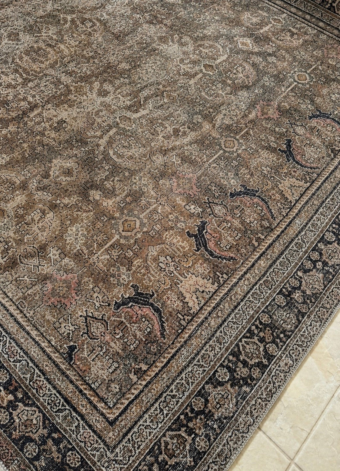 🤎 One of the bestselling rugs with a vintage vibe is 59% OFF right now!

Over 5,000 reviews and currently under $200 for the 7’6” x 9’6” size.

✨ Timeless vintage-inspired design
✨ Neutral tones that work with almost any decor
✨ Tons of size options available
✨ All sizes are currently in stock
✨ Designer look for less

If you’ve been thinking about updating a space, I’d grab this one before the sale price changes.

#LTKSaleAlert #LTKHome