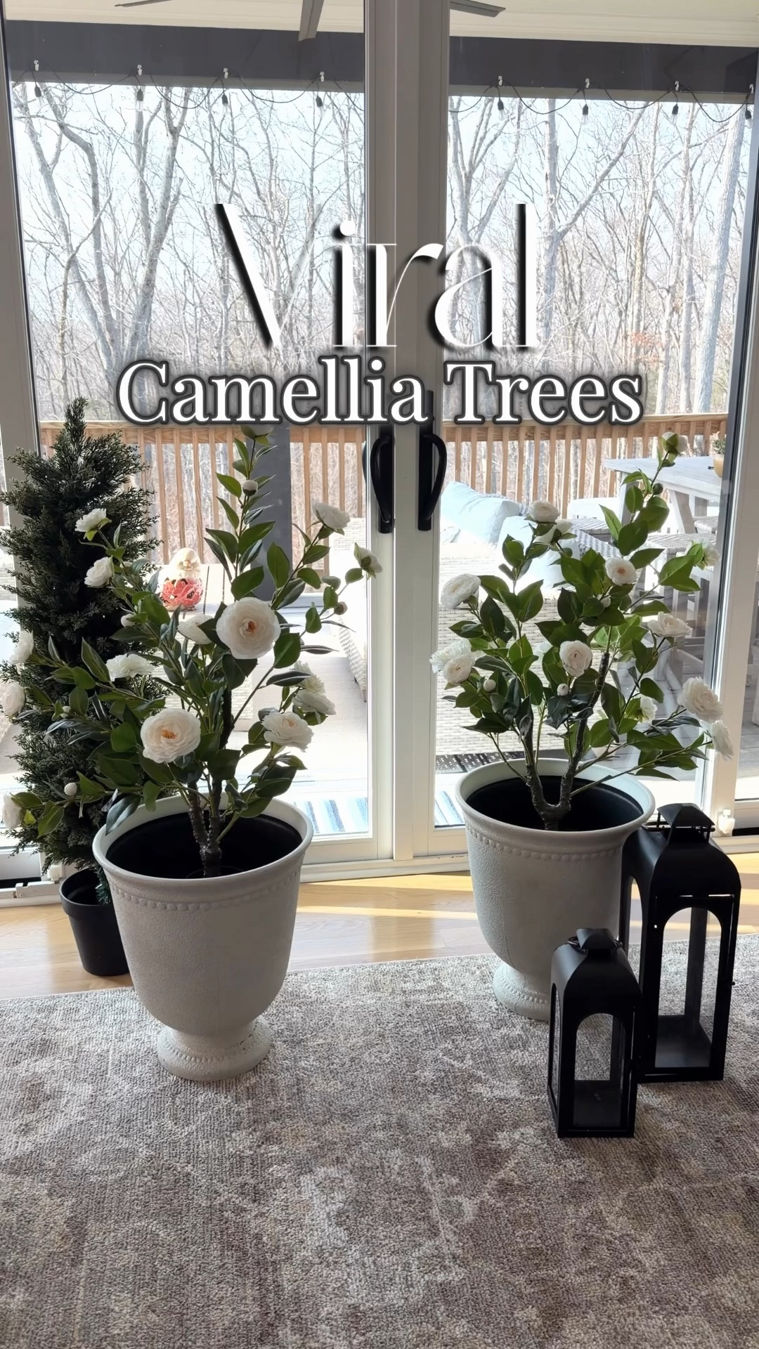 Luxury porch look… zero watering, zero dying plants. These faux camellia trees are the easiest decor upgrade I’ve made 🏠

#LTKHome #LTKSaleAlert #LTKSpringSale