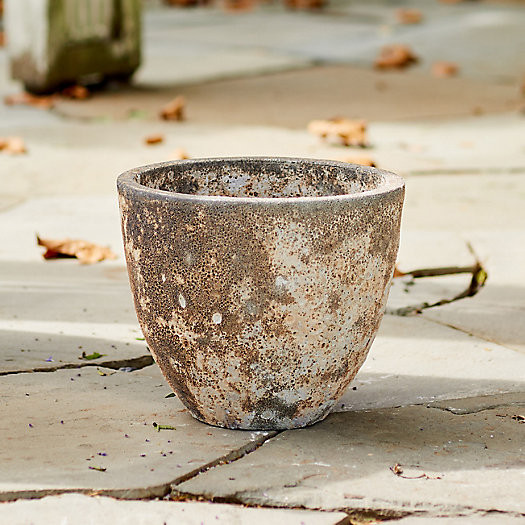 Barnacle Rounded Egg Planter, 12" | Terrain