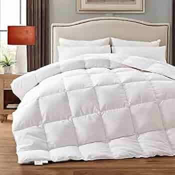 Topllen Down Comforter Queen Size,Duvet Insert for Year Round Use, Noiseless and Ultra Soft Fabri... | Amazon (US)