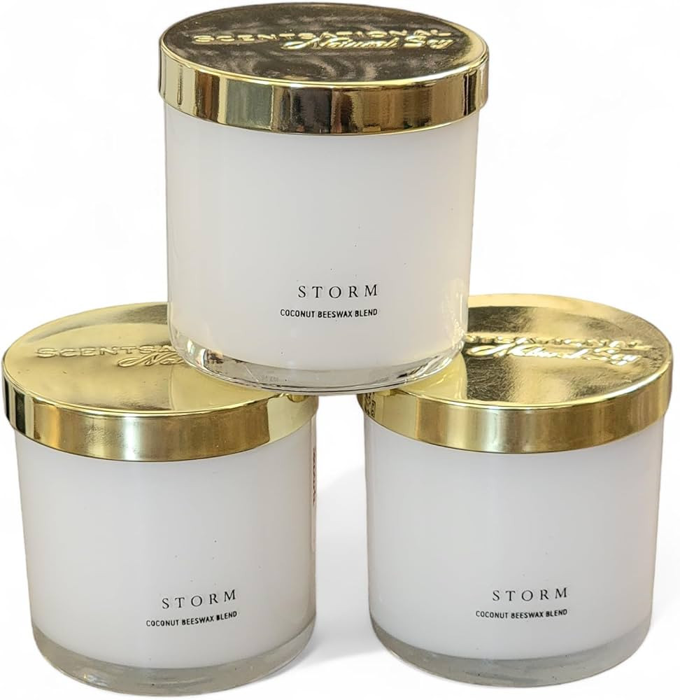 Set of 3 Candles, Each 5oz, Scented Storm Candles, White Jar, Single Wick, Golden Tin Lid, S5014 | Amazon (US)