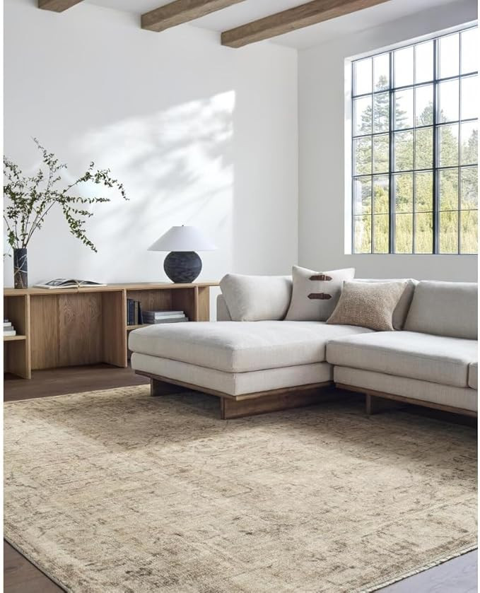 Livabliss x Galey Alix Fetscher I Vintage Medallion Area Rug, 6'7" x 9'6" (7' x 10'), Light Beige | Amazon (US)