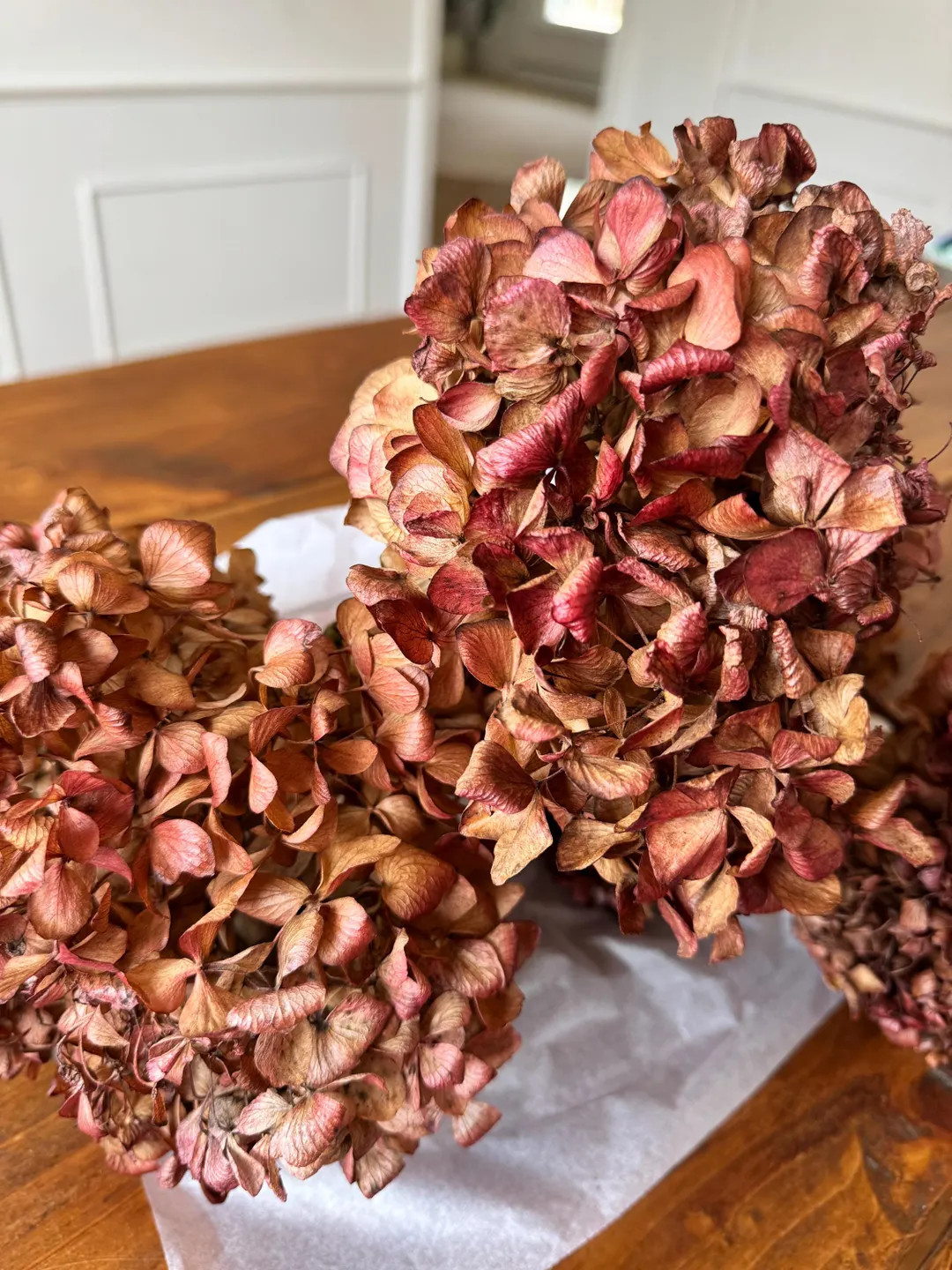 Dried Neutral Beige With Rosy Accents Limelight Hydrangea Stems, Dried Flowers, Dried Flower Head... | Etsy (US)