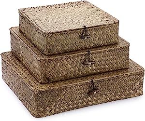 Hipiwe Set of 3 Flat Wicker Storage Bins with Lid Handwoven Natural Seagrass Shelf Baskets Boxes ... | Amazon (US)