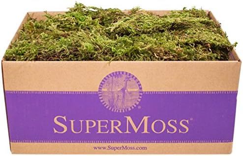 SuperMoss (21533) Forest Moss Dried, Natural, 3lbs | Amazon (US)