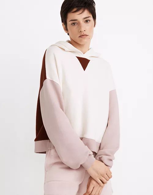 MWL Airyterry Hoodie Sweatshirt in Colorblock | Madewell