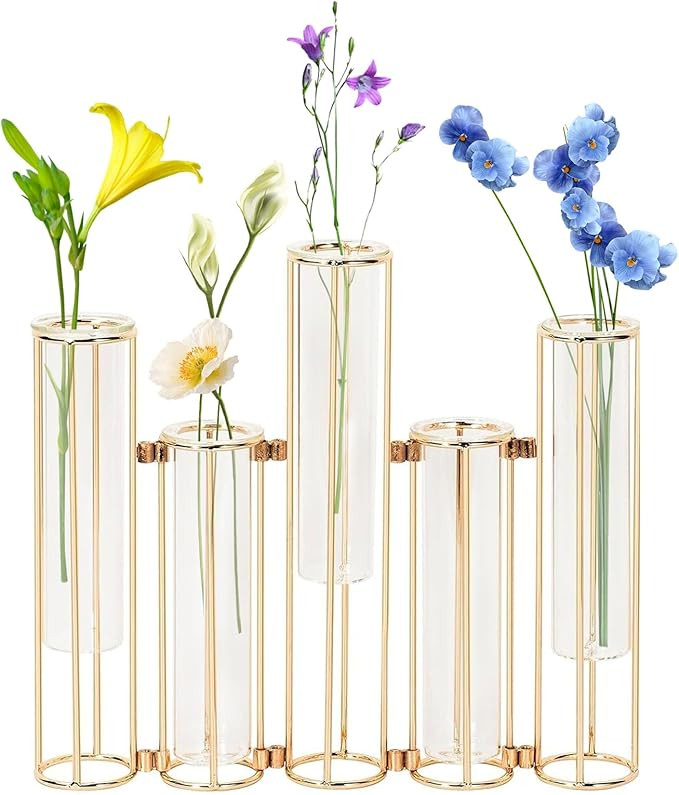 Test Tube Vase for Flowers Set of 5, Glass Vase with Metal Stand Racks Hydroponic Test TubeVase, ... | Amazon (US)