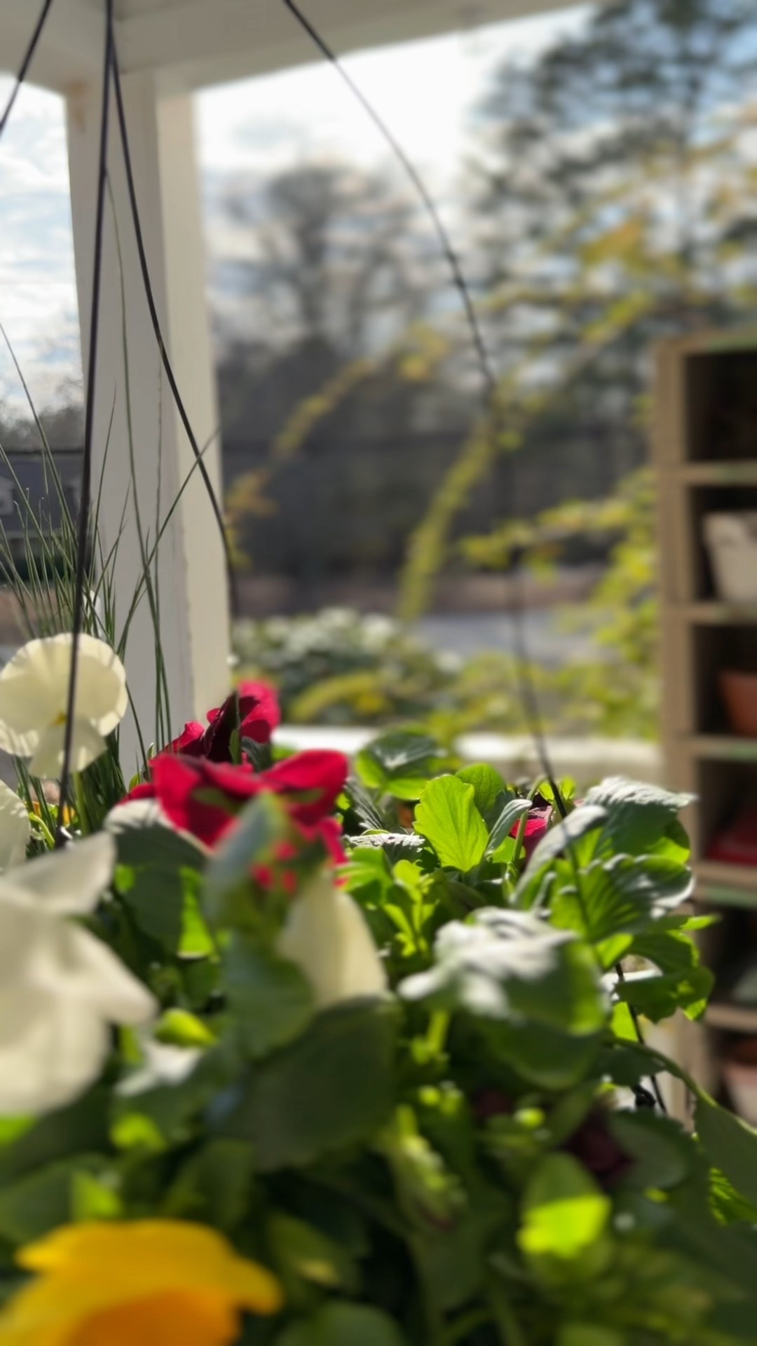 Flowers 💐 

#LTKHome #LTKSeasonal