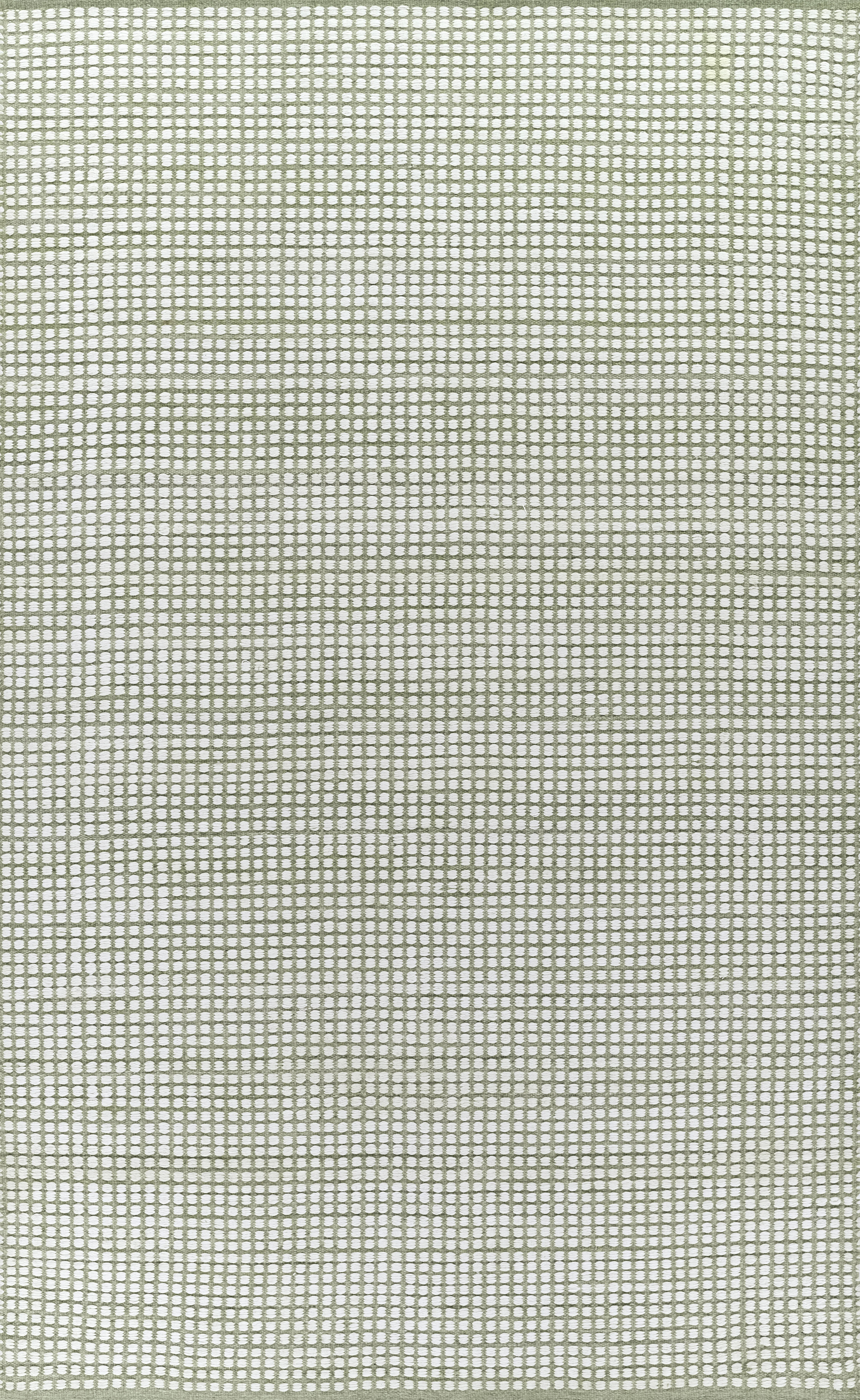 Acerra Hand Woven PET Geometric Green Indoor Outdoor Rug | Joss & Main