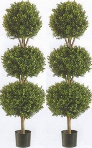 Two 56 Inch Artificial Boxwood Triple Ball Trees Potted | Amazon (US)