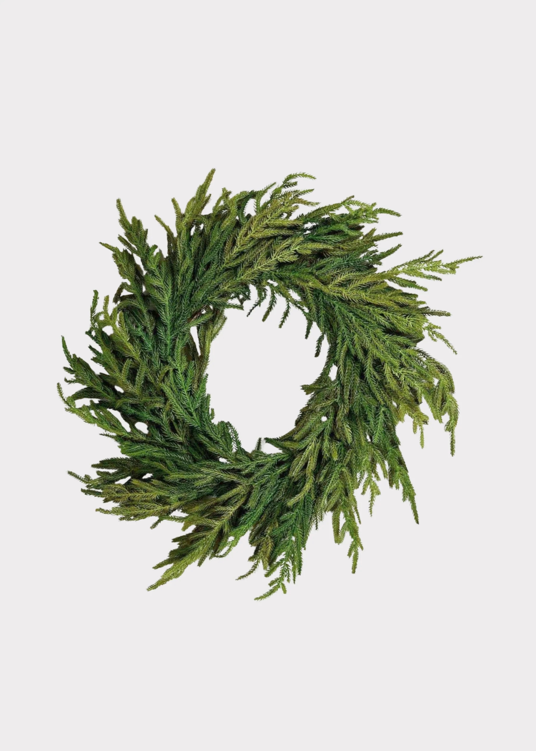 Real Touch Norfolk Pine Wreath | Afloral | Afloral