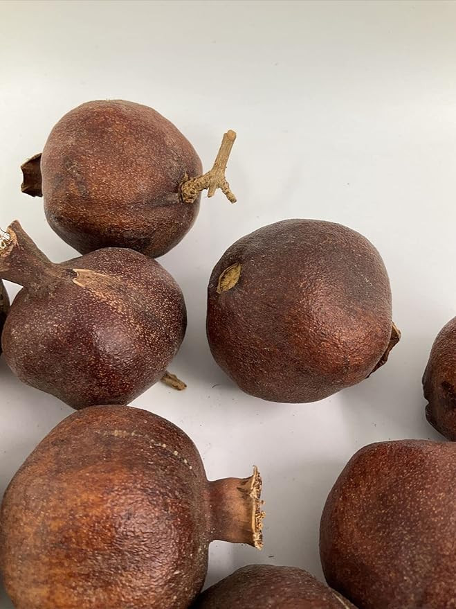 Dried Pomegranate Vase Filler Decoration Table Decor Crafting Fruit Potpourri | Amazon (US)