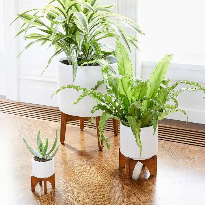 Mid-Century Turned Wood Tabletop Planters | West Elm (US)