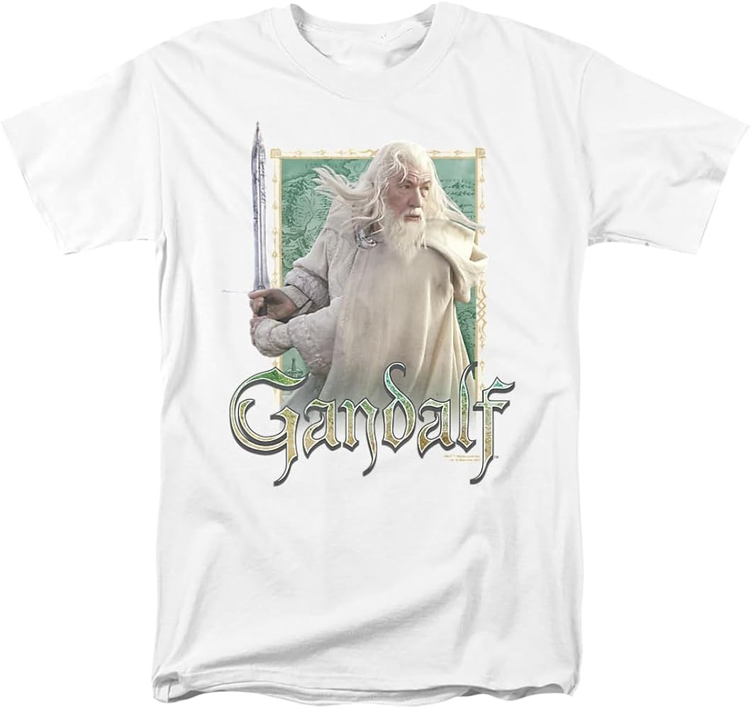 Lord of The Rings Heroes Collection Unisex Adult T Shirt Collection | Amazon (US)