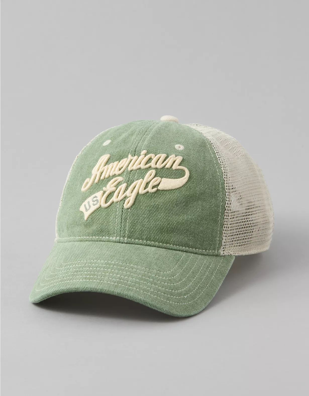 AE Vintage Logo Baseball Hat | American Eagle Outfitters (US & CA)