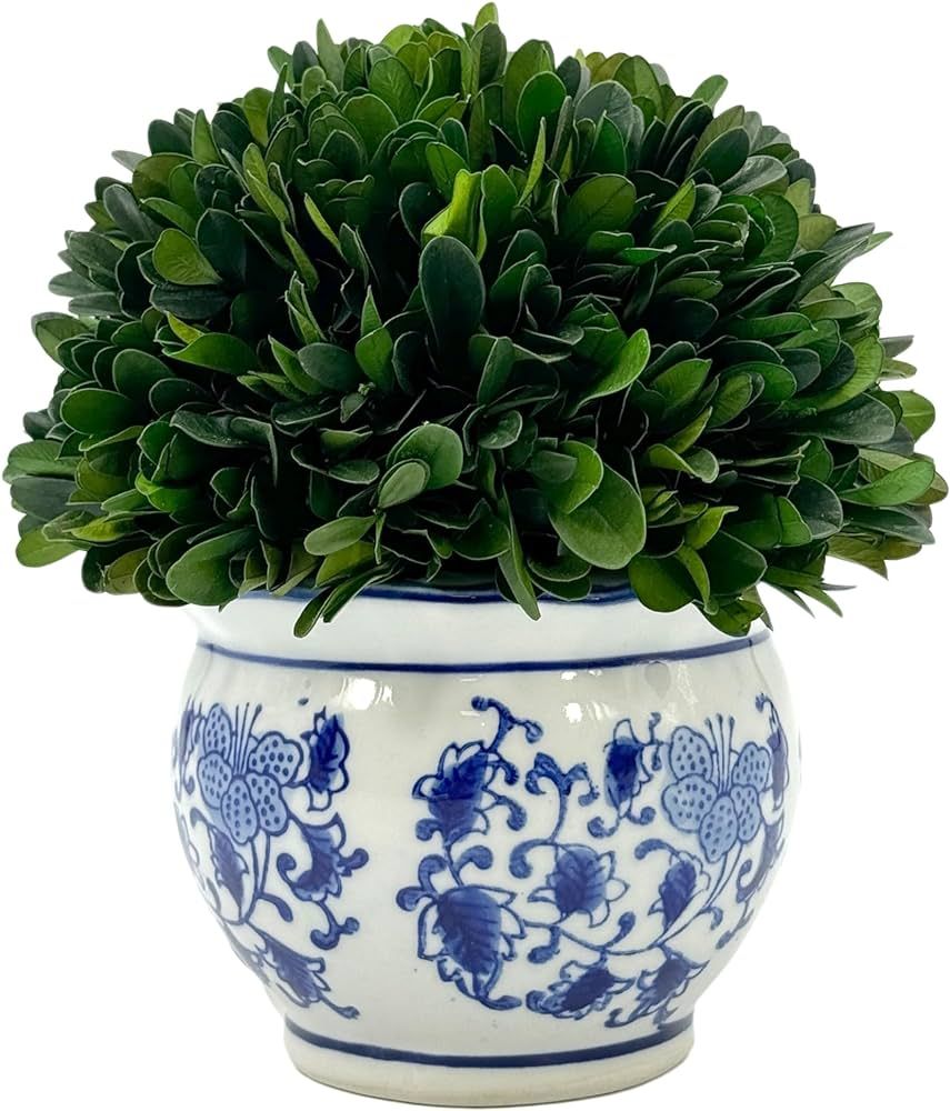 Galt International 7" Naturally Preserved Real Boxwood Ball in Hand-Painted Blue & White Round Bu... | Amazon (US)