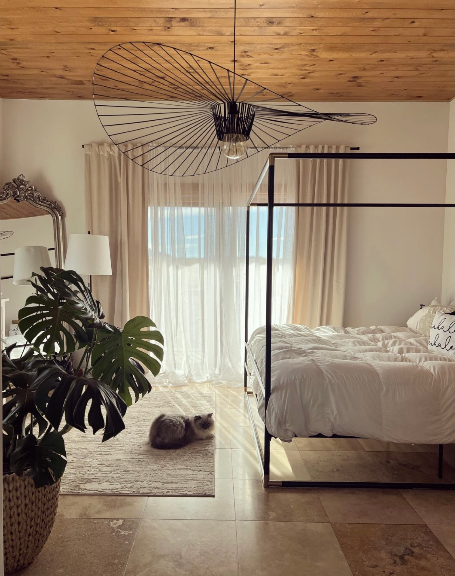 Loving the  sunshine in my room . 

#LTKhome #LTKSeasonal