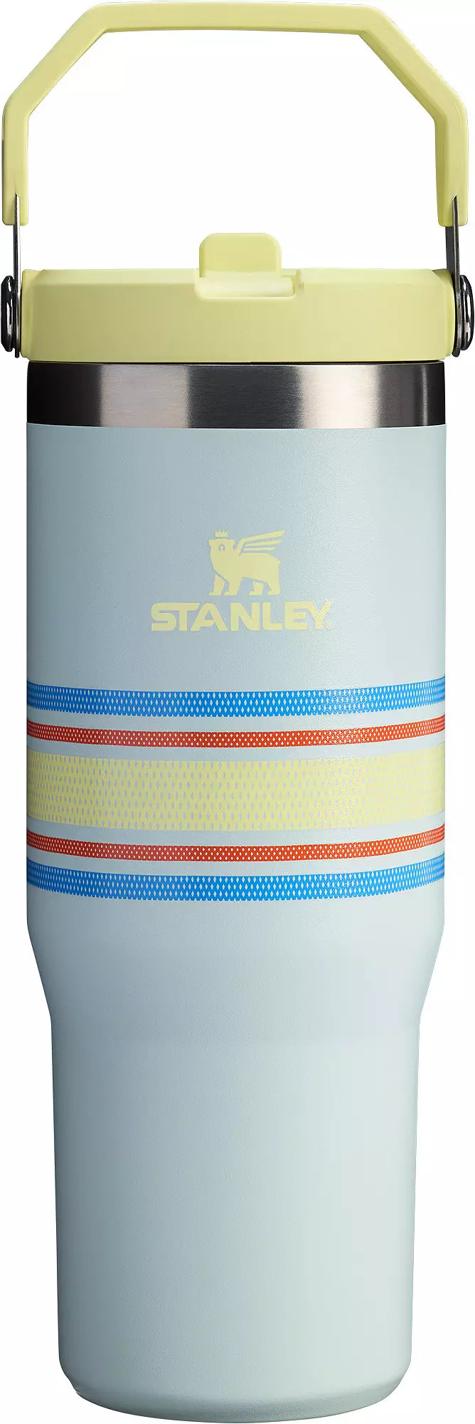 Stanley 30 oz. IceFlow Flip Straw Tumbler | DICK'S Sporting Goods
