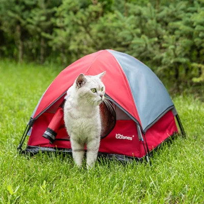 Cat House Portable Indoor/Outdoor Red Cat Tent For Cats And Small Dogs With Soft Pad | Wayfair North America
