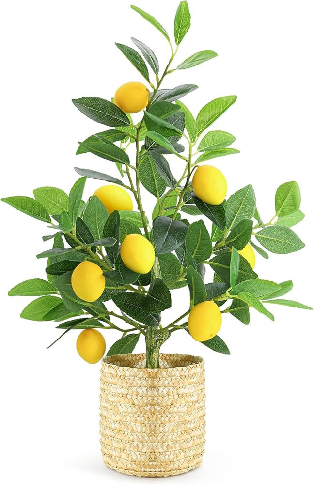 AceList Fake Lemon Tree for Lemon Decor, 23 Inches Nearly Natural Small Artificial Lemon Tree wit... | Amazon (US)