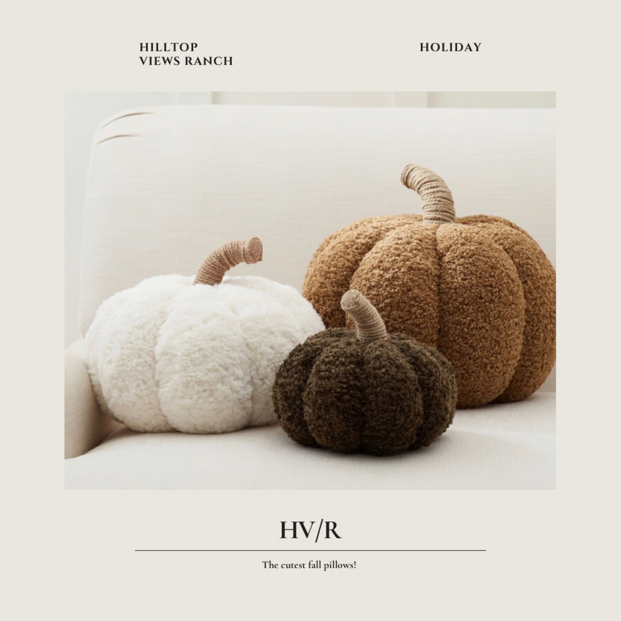 Whether it’s on your sofa or a shelf, start with a pumpkin pillow and let the fall decor fan out from there. This shape can’t help but shift the season in your room, and the teddy bear fabric with twine stem is a texture pair we love to have hearthside. Cozy Pumpkin Pillow

#LTKSeasonal #LTKhome
