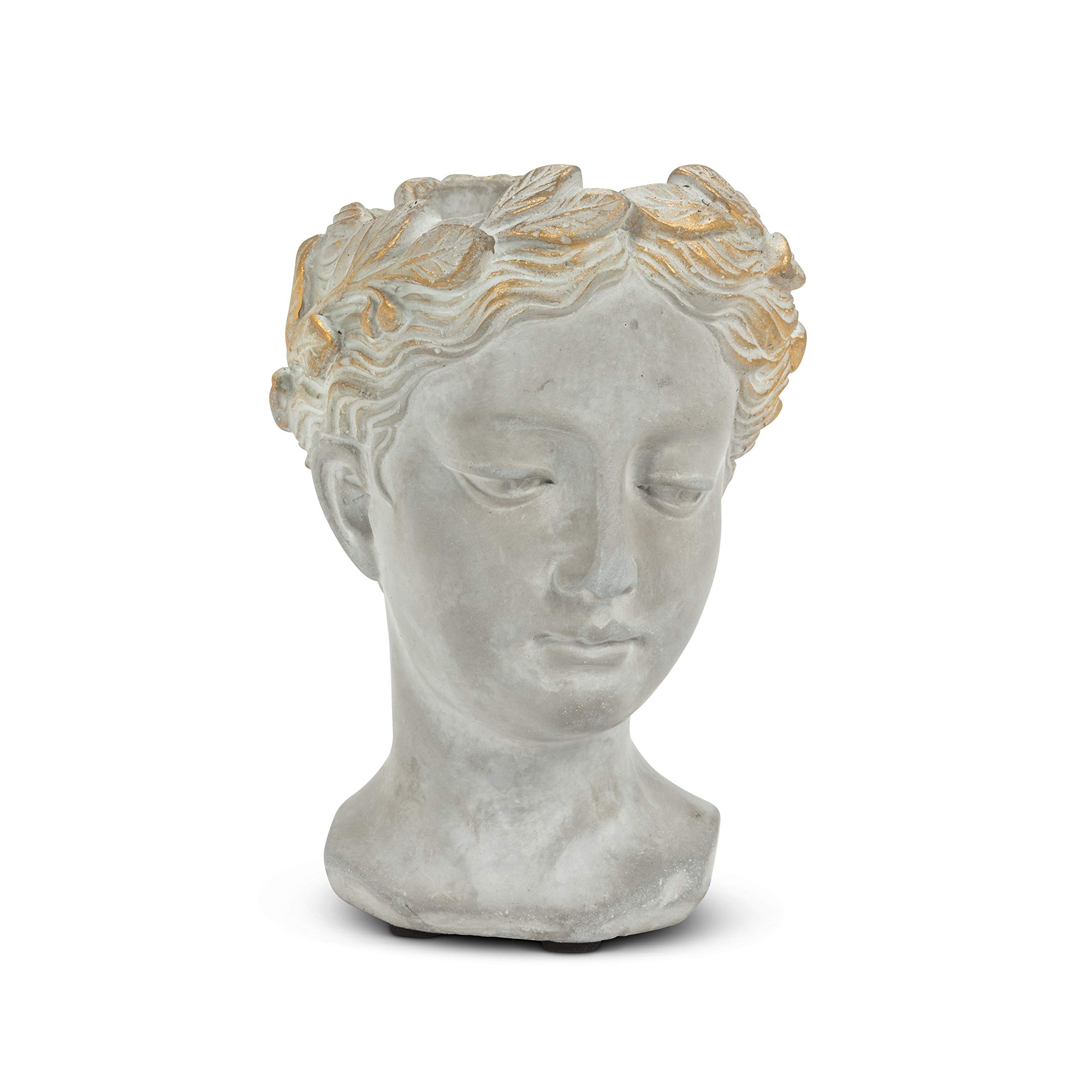 Abbott Collection Aphrodite Head Planter – Extra Small Indoor and Outdoor Planter Pots - Whimsi... | Amazon (US)