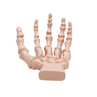 3.5" Orange Skeleton Hand Tabletop Accent by Ashland® | Michaels Stores