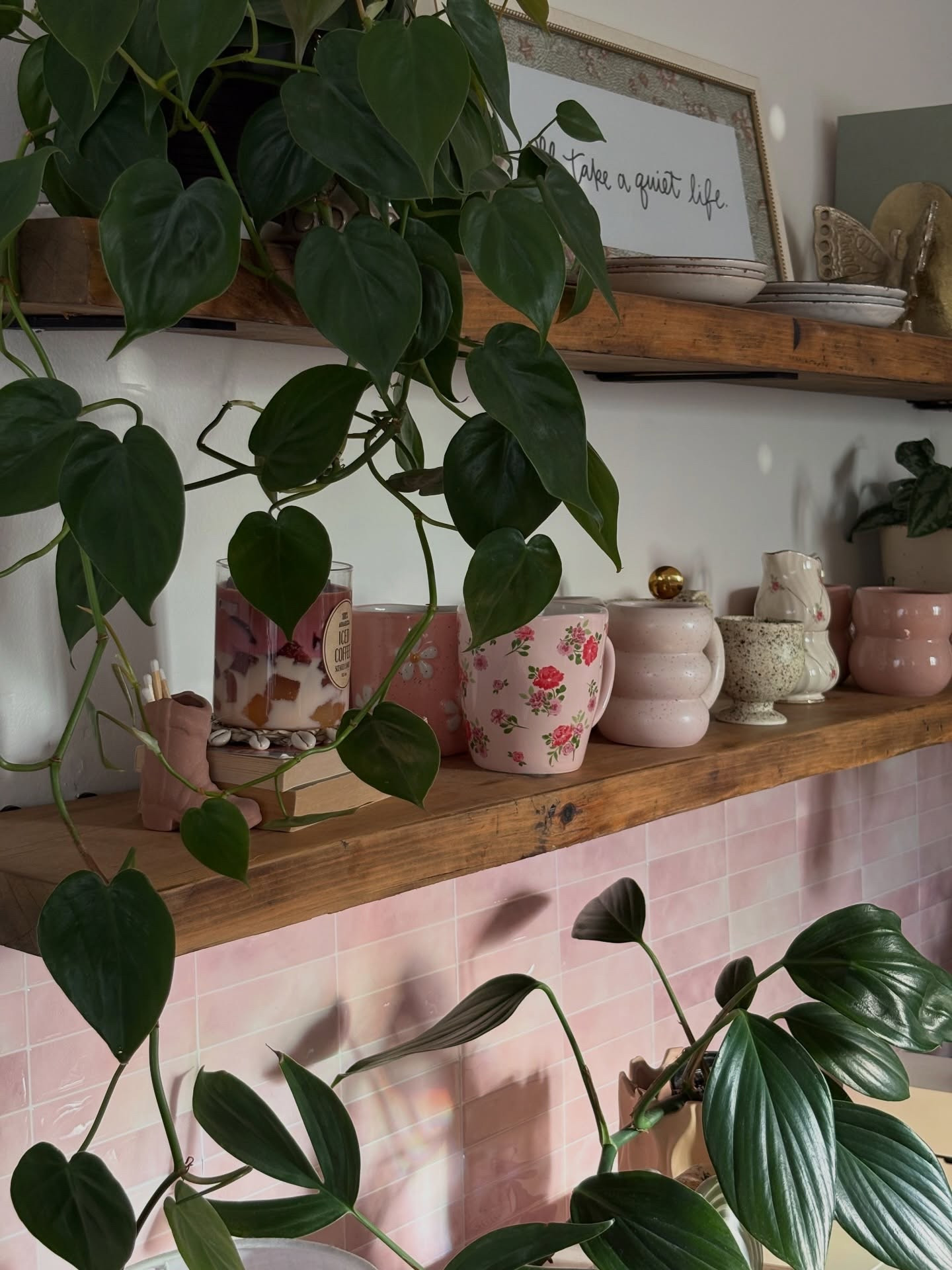 reminding myself that the sunshine still exists 🙂‍↕️✨
 
#coffeebar #kitchendecor #homedecorideas #cozyhome #pinkdecor

#LTKHome