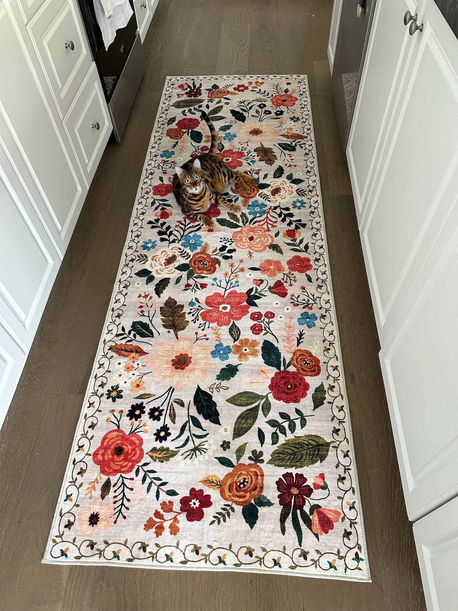 The way this new kitchen rug has brightened up this space! 🌸🌺🌷🌻

I have the 2.6’ x 8” size 

#LTKHome #LTKFindsUnder50 #LTKSummerEdit