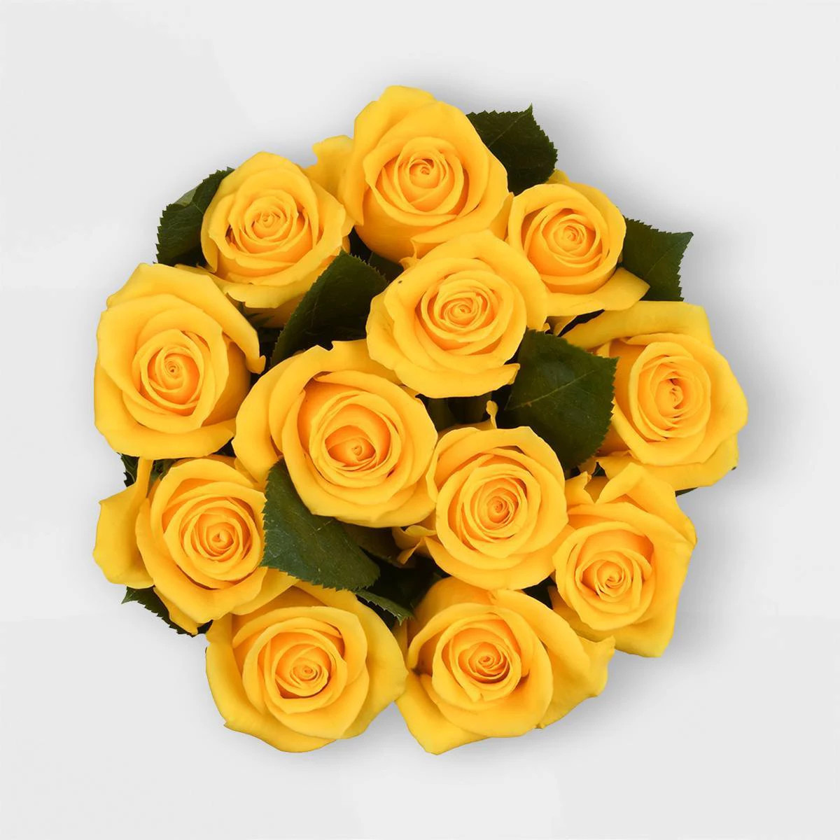 Dozen Fresh Cut Yellow Roses - Good Little Garden™ | Target