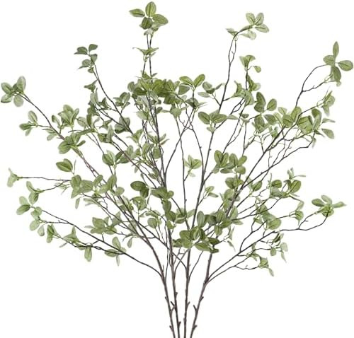 Visit the Ruidazon Store | Amazon (US)