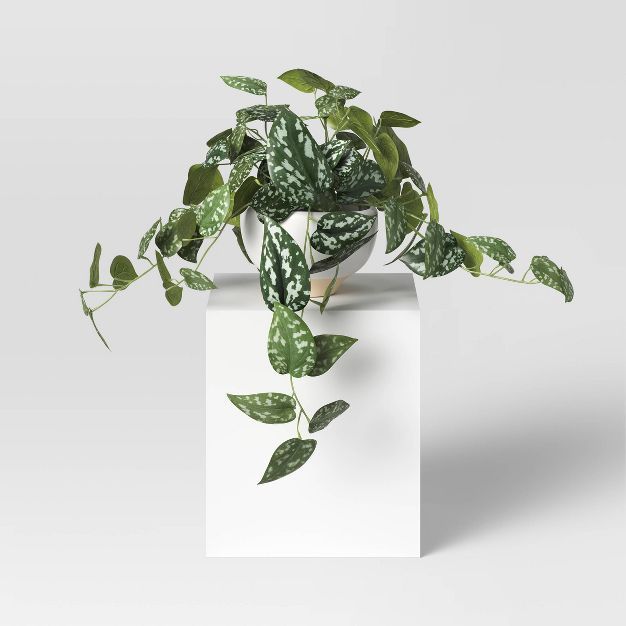 Trailing Plant - Threshold™ | Target