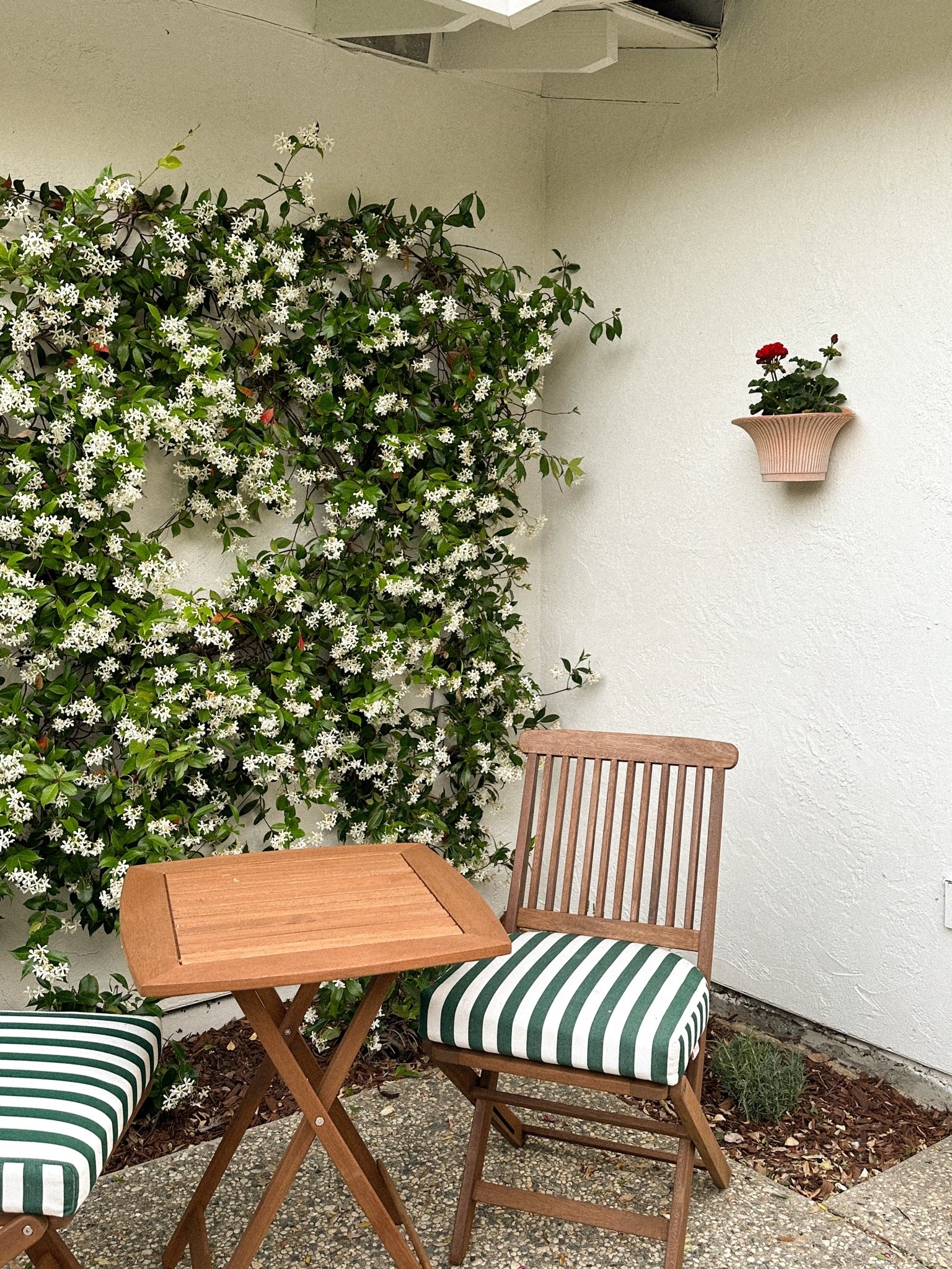 Wall planters

#LTKHome #LTKSeasonal