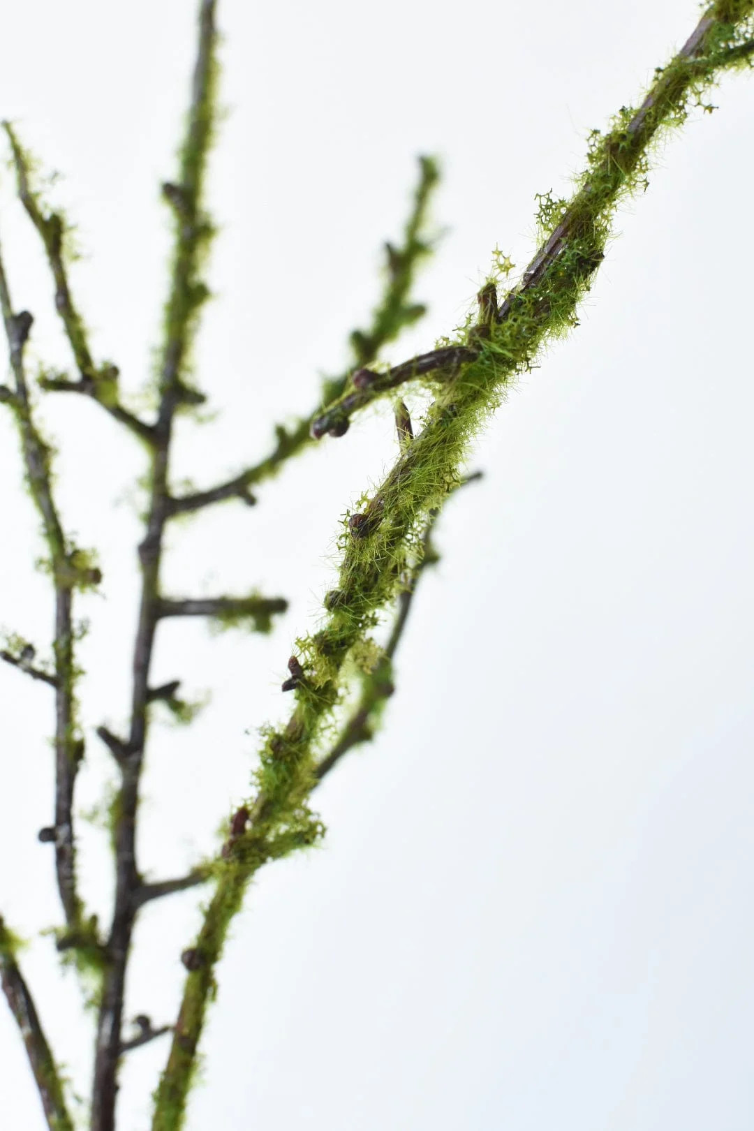 38" Faux Plastic Tree Branch With Moss | HouseFloral