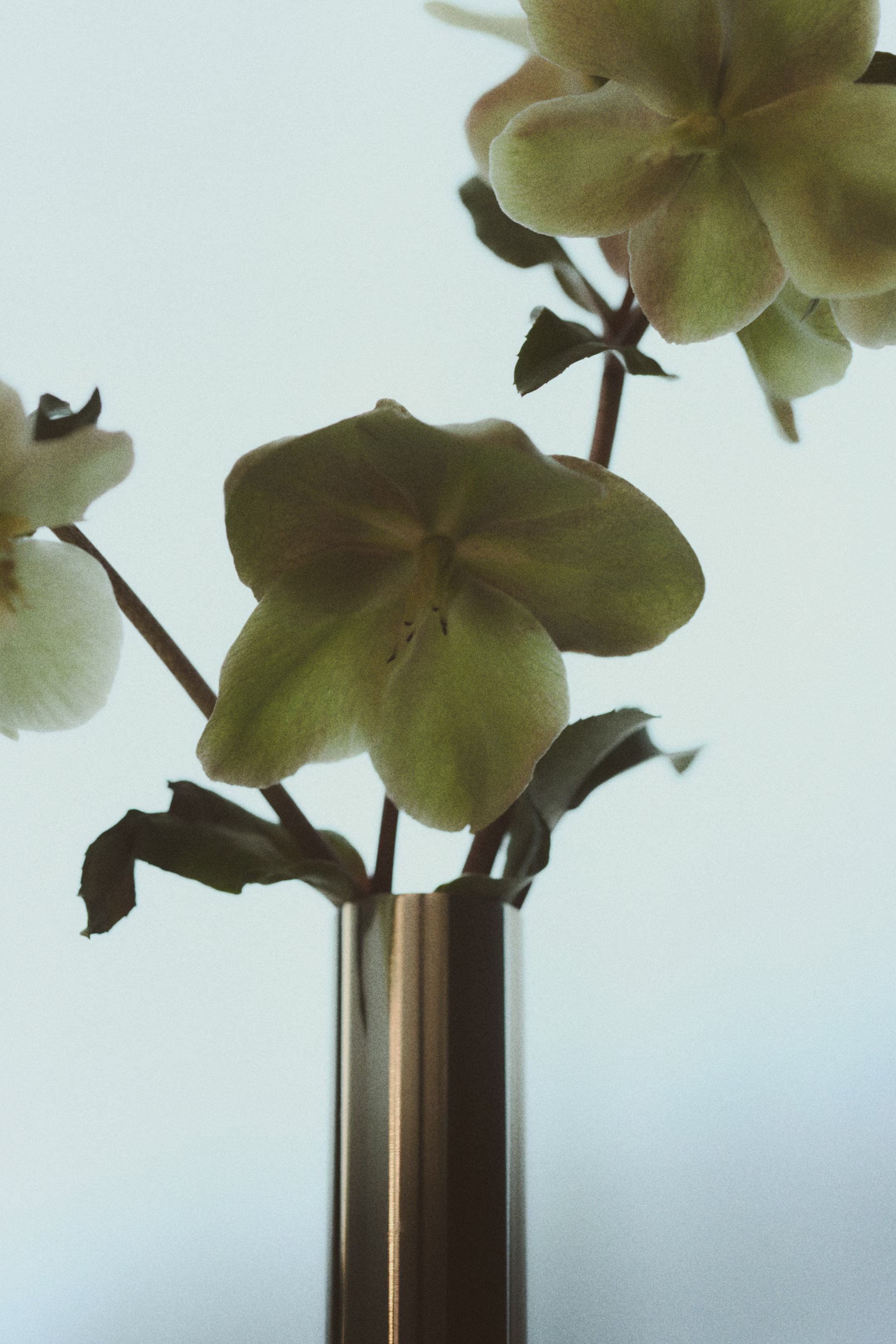 Tall Stainless Steel Bud Vase | H&M (US + CA)