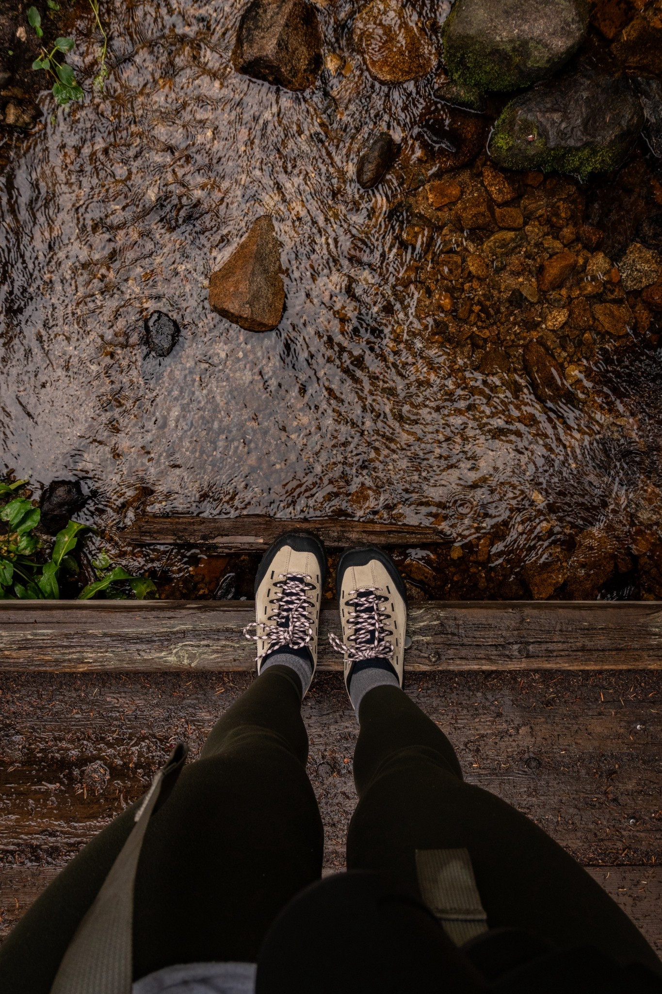 Fav hiking shoe brand hands down! 

#LTKActive #LTKTravel #LTKShoeCrush