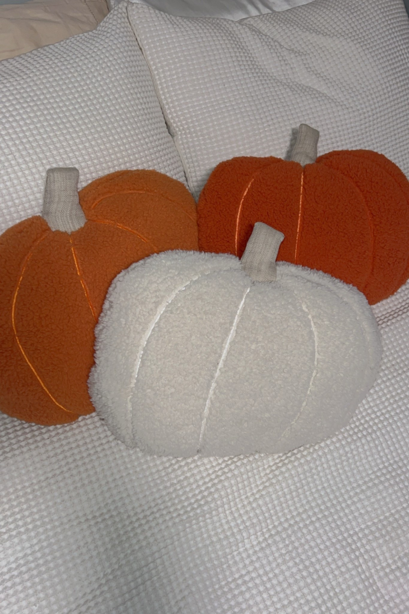 the cutest pumpkin pillows for the fall + my comforter 🤍🍂

#LTKBeauty #LTKHome #LTKHalloween