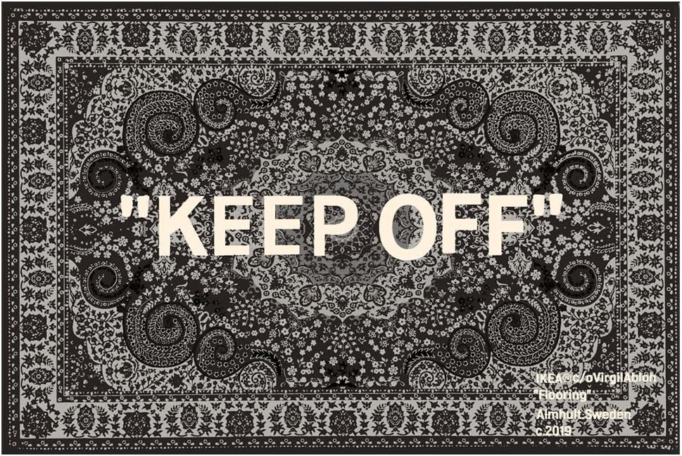 KEEP OFF Rug Cashew Flower Classic Paisley Cashmere Area Carpet Hypebeast Decor Parlor Bedroom Pl... | Amazon (US)