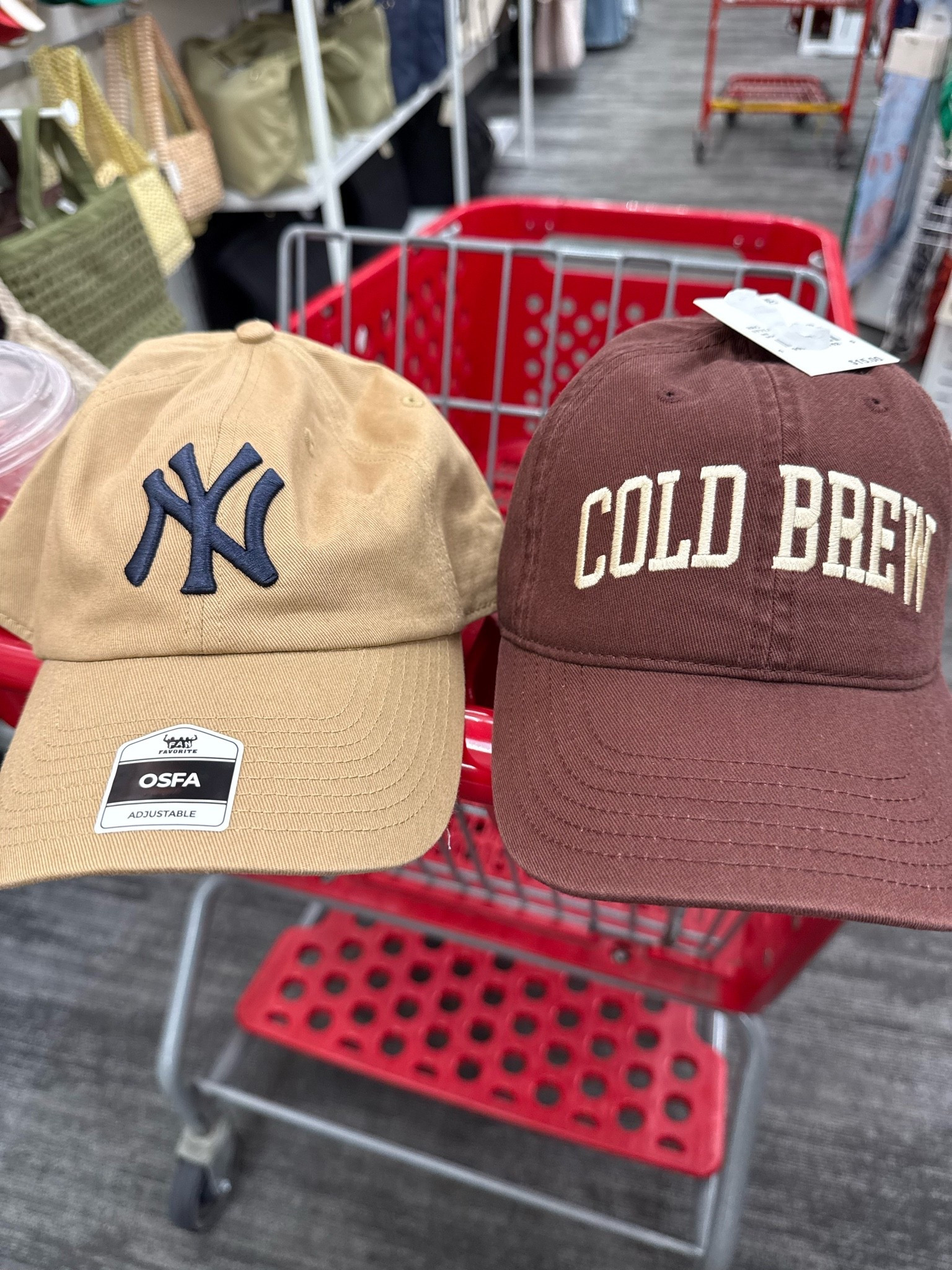 Obsessed with these hats for fall! The only two you need 🧋

#LTKootd #LTKActive #LTKSeasonal