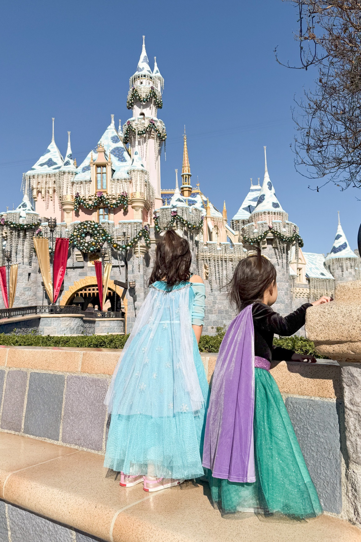 Elsa and Anna high quality non itchy princess dresses costume for Disney!

#LTKTravel #LTKFamily #LTKKids