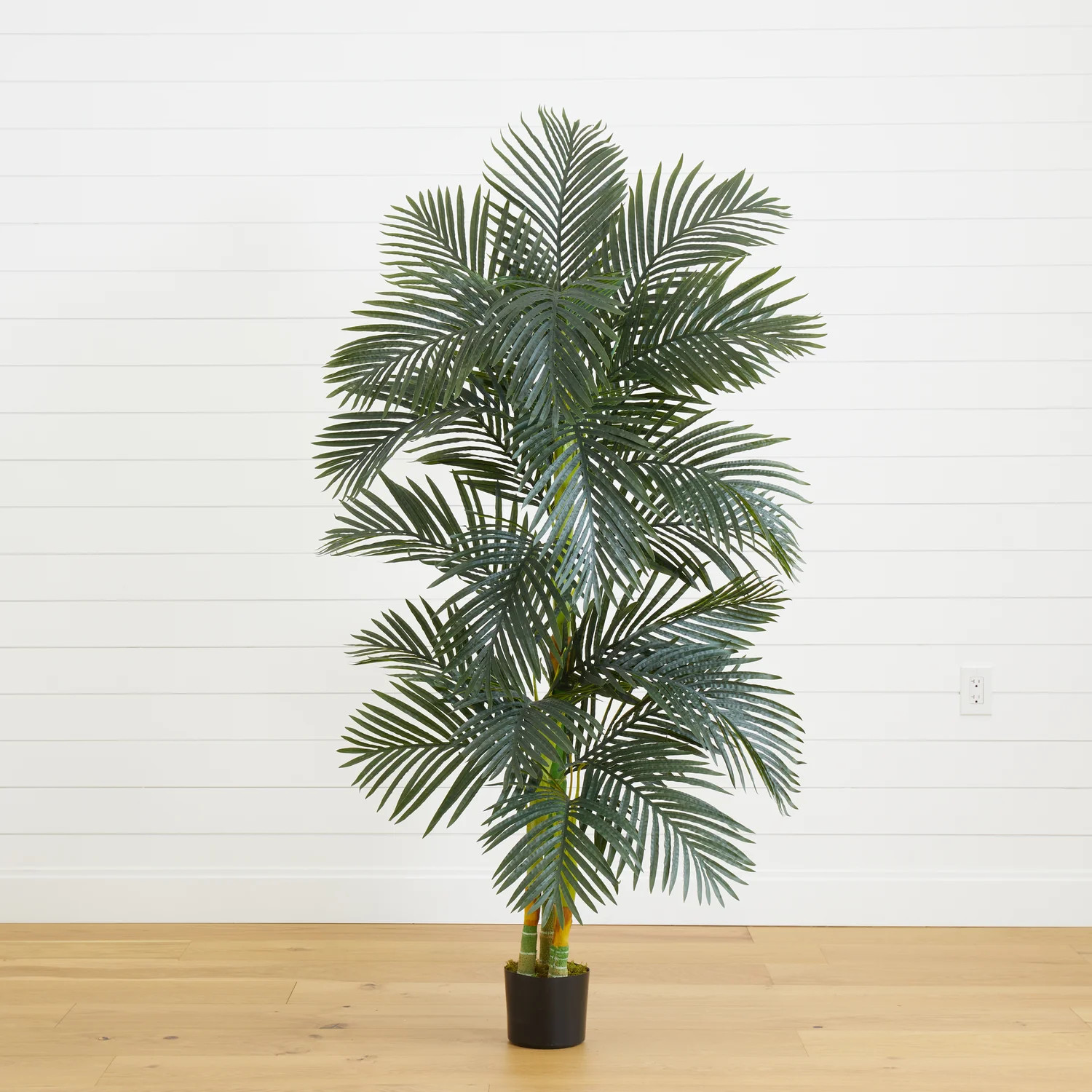 6.5' Golden Cane Artificial Palm Tree | Nearly Natural | Nearly Natural